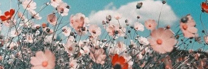 callmemrs_c's profile banner image