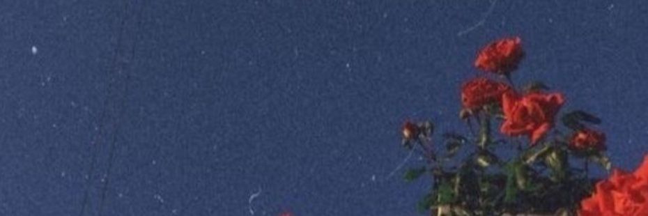 Alperozde's profile banner image