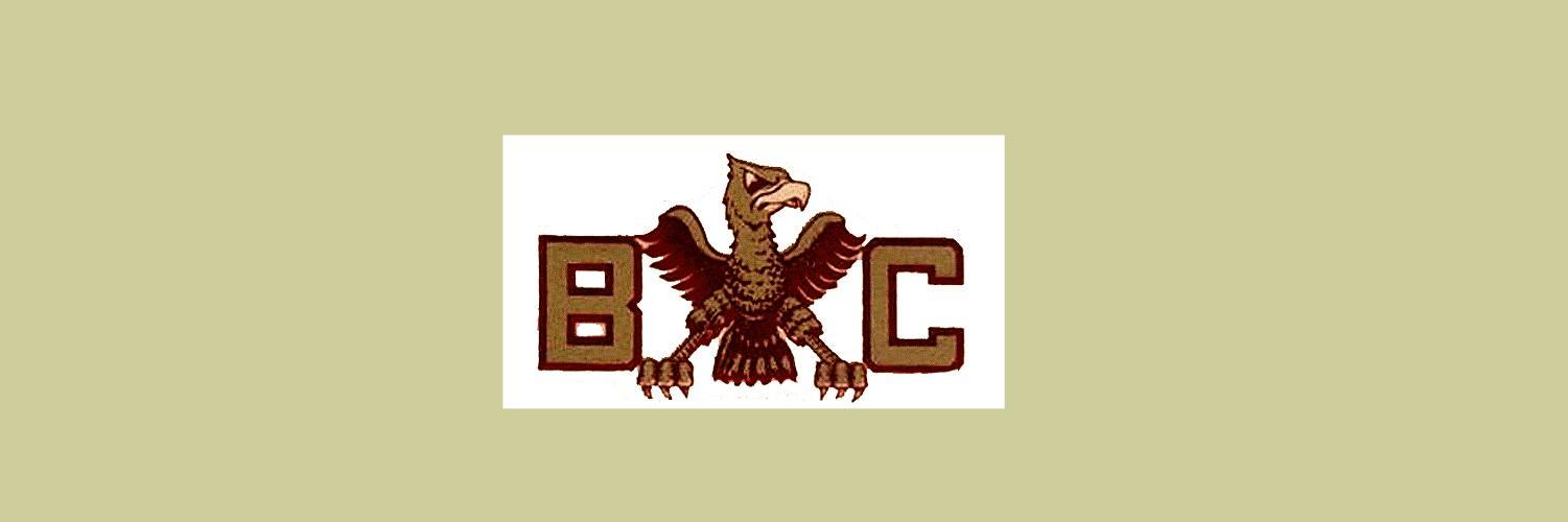 BCEaglesFBcom's profile banner image