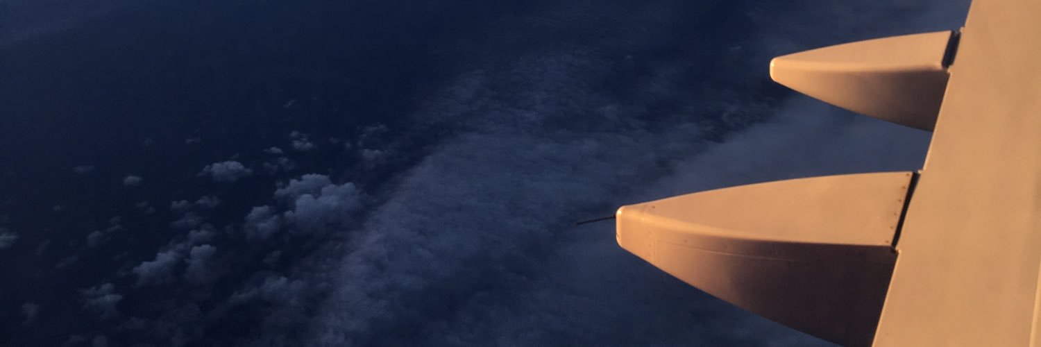 pienadvesele's profile banner image