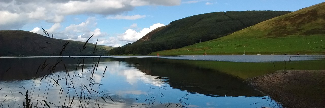 Peter Chamberlin banner