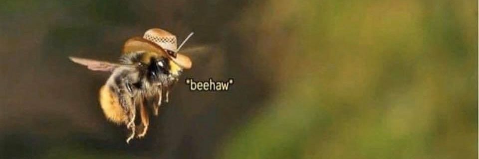 beeeeker_'s profile banner image