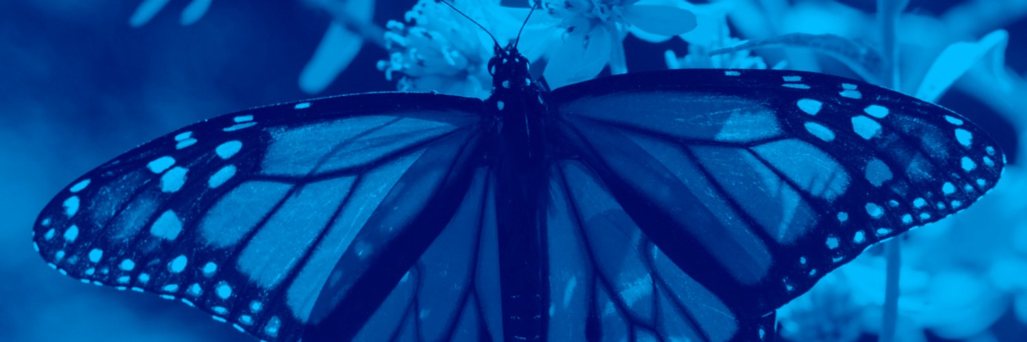 A_ZH_3's profile banner image