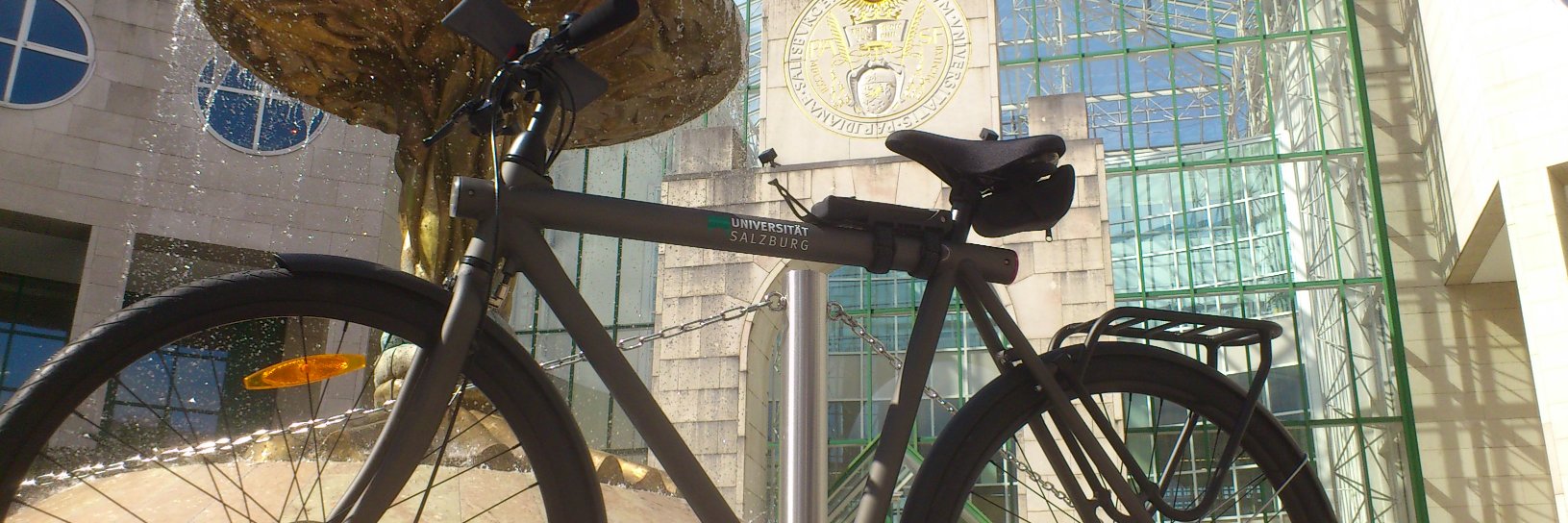 Bernhard Zagel banner