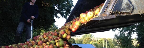 CC_Cider Profile Banner
