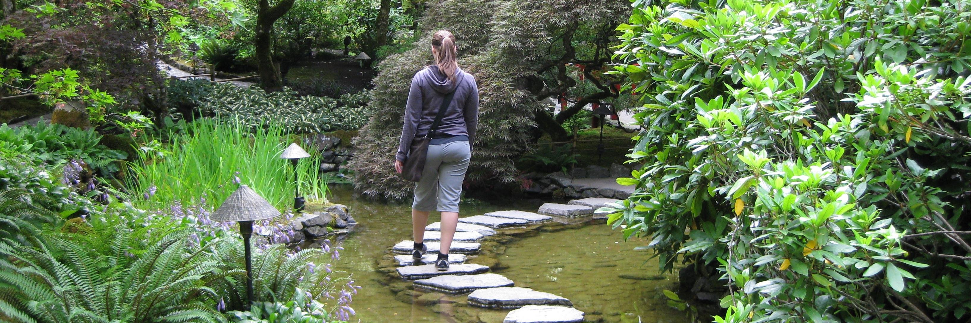 Raechel Ferrier banner