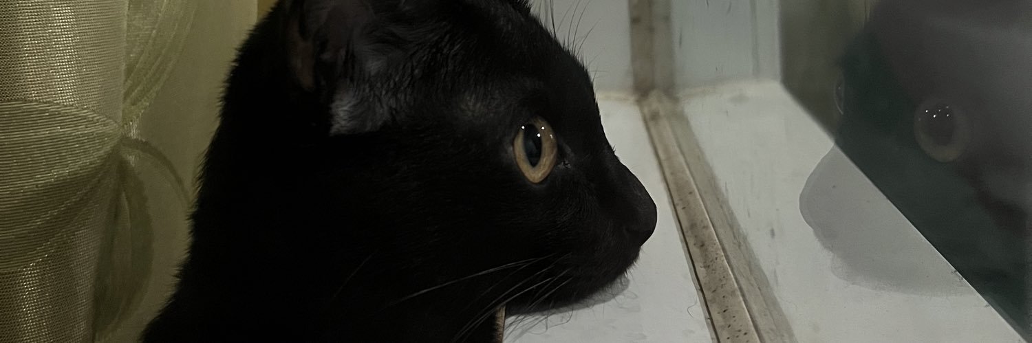 lll 💜𝑷𝑺.💜 lll banner