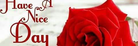 adaashishd's profile banner image