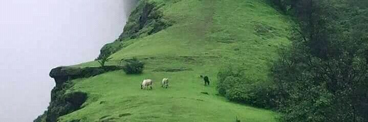 Christy Francis banner