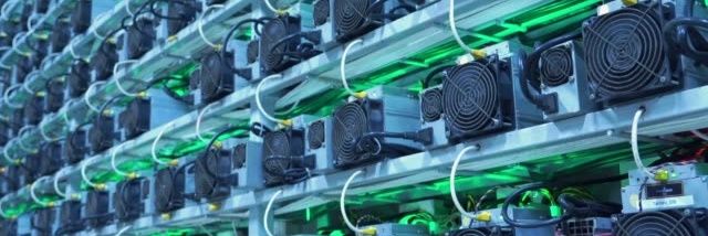 Lively Innovations banner