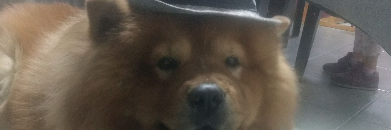 aletzmj's profile banner image