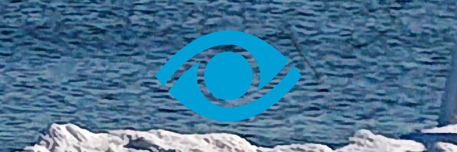 mringgaard's profile banner image