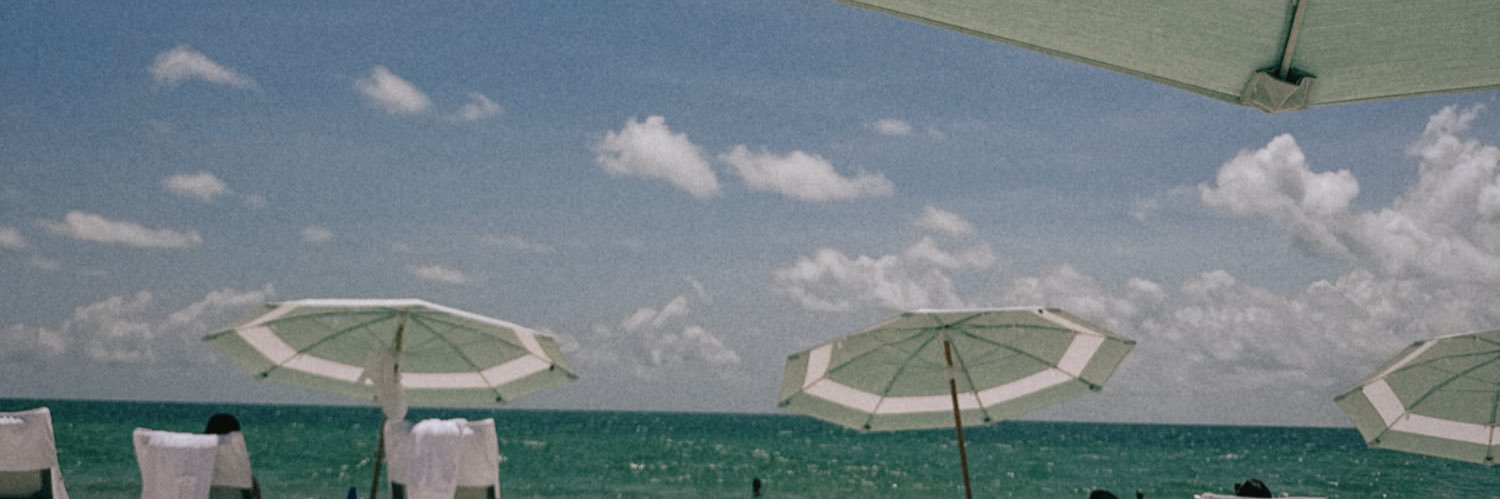 shells banner