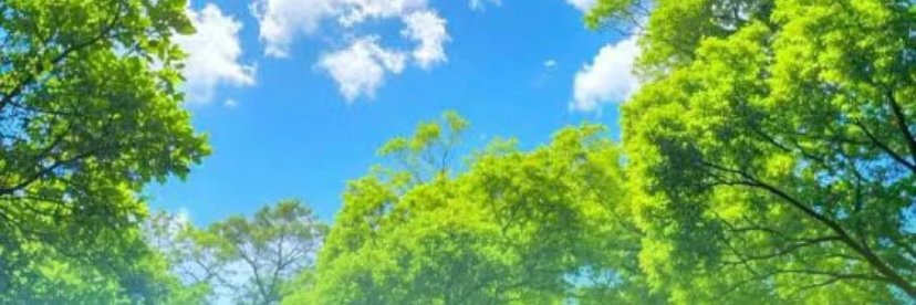 ameme（互关必回） banner