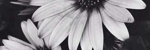 bmissx's profile banner image