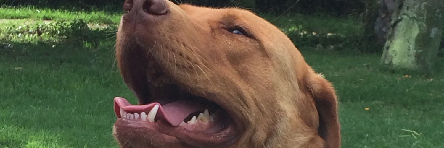 FeduDuque's profile banner image