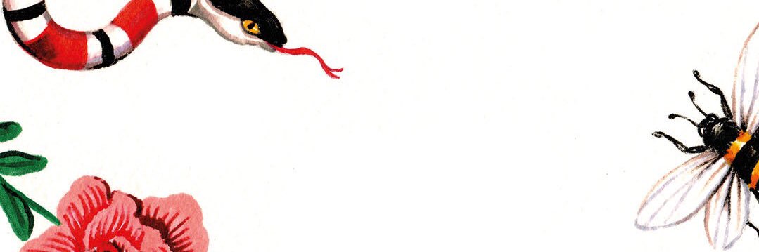 sofaloaf5's profile banner image
