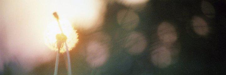 MindfulLivingUK's profile banner image