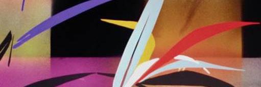 and__vinally's profile banner image