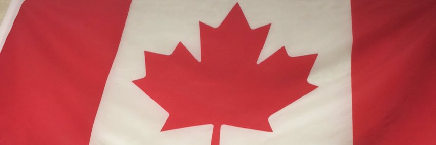 mschapmansbears's profile banner image