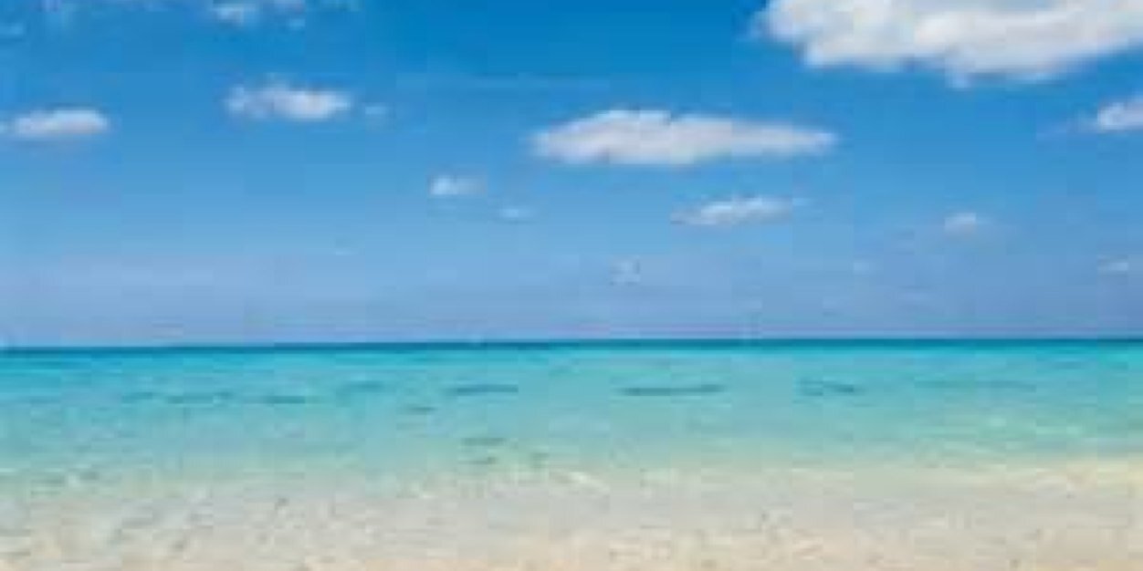 Stacy Edwards banner