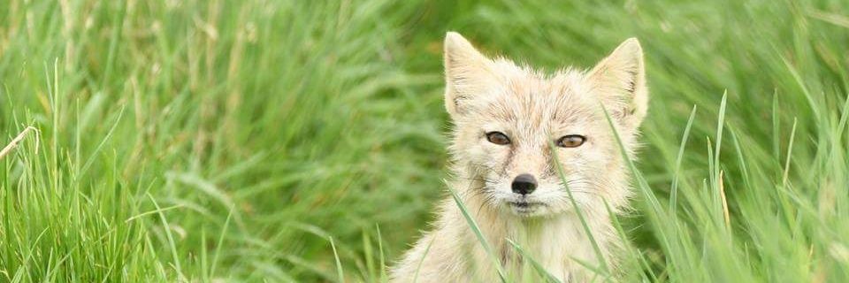 hettieethel's profile banner image