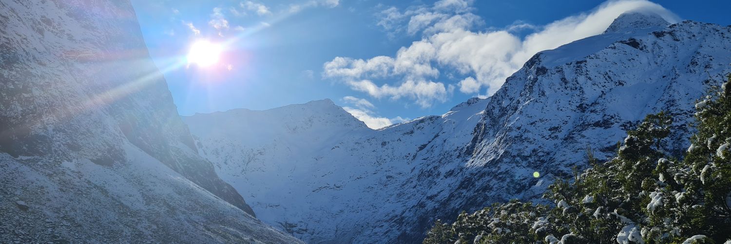 JessLieb88's profile banner image