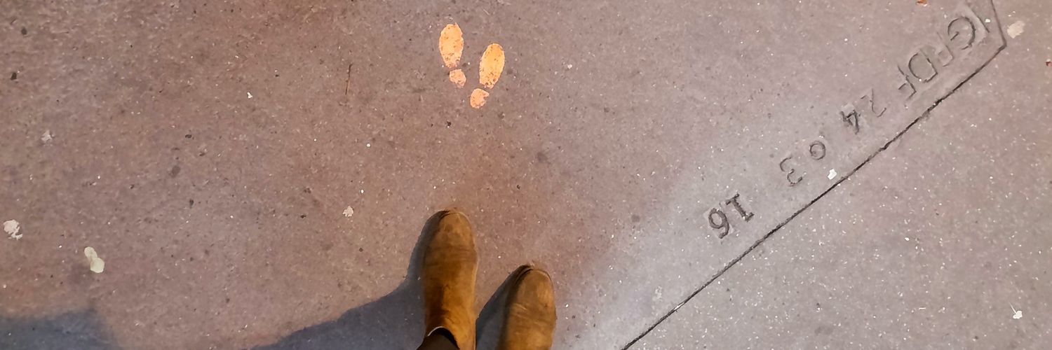 Anne Soetemondt banner