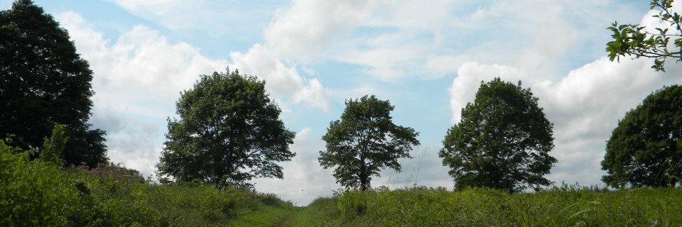 JillLapsley's profile banner image