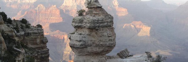 pheckner1 Profile Banner