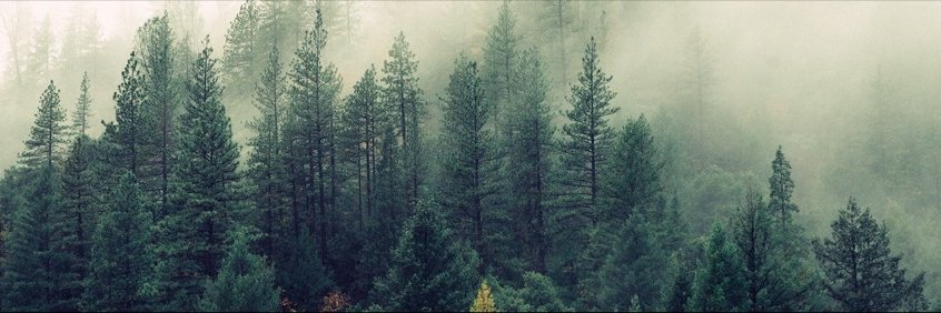 Kenneth Geipel banner