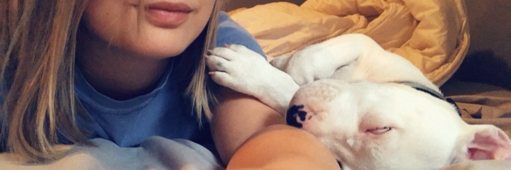 delaneyh1999's profile banner image