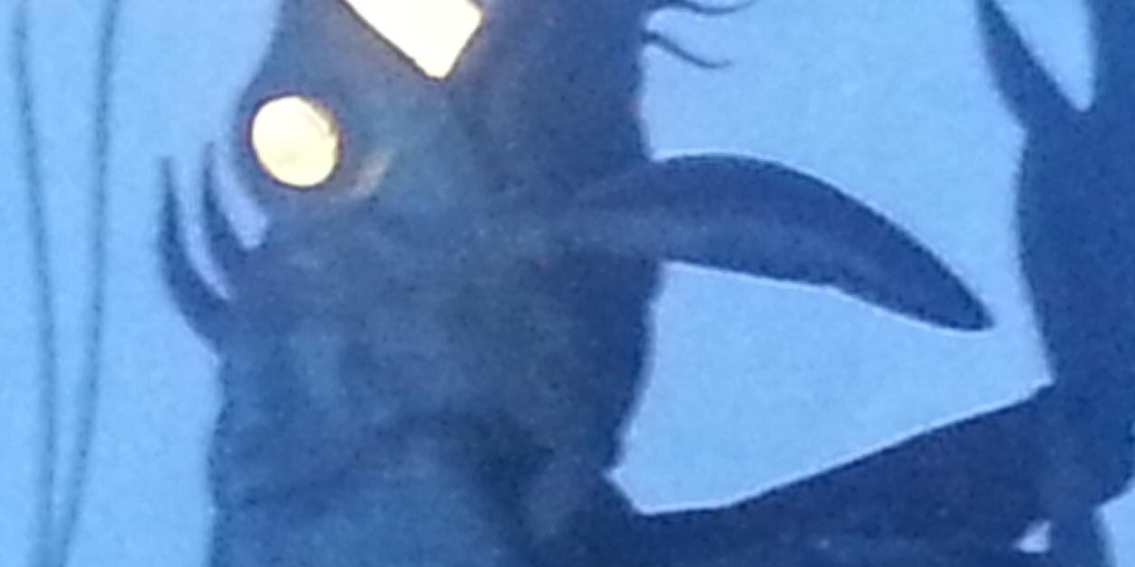 sionlewin's profile banner image