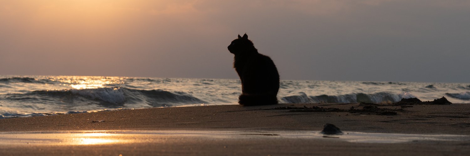 Ravensdance18's profile banner image