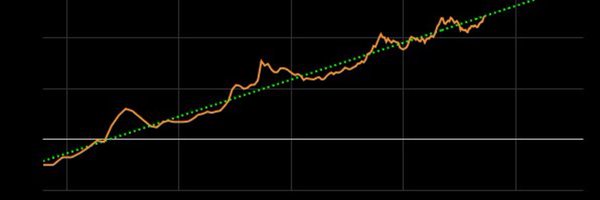 Birdinc1 Profile Banner