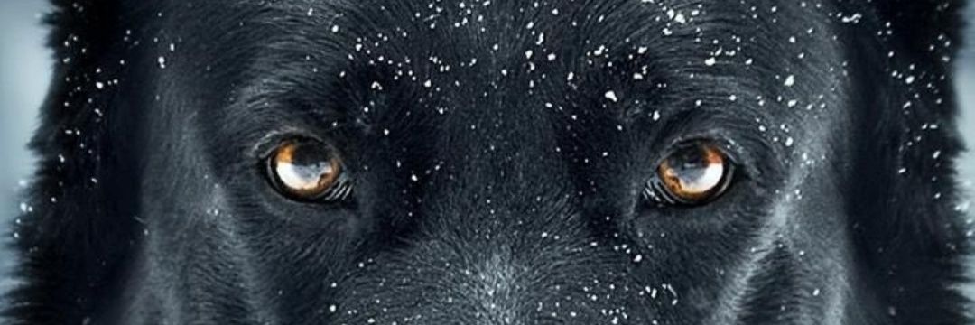 aishola93's profile banner image