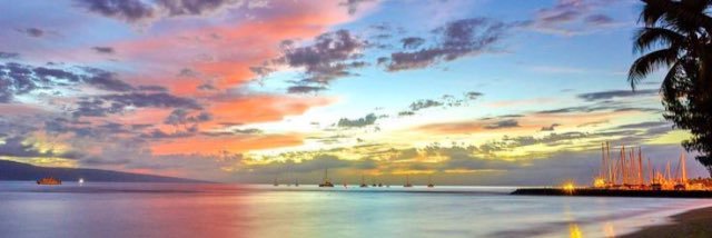 Monera_442's profile banner image
