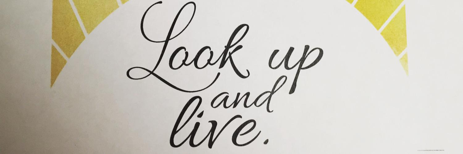 LBeukelman's profile banner image