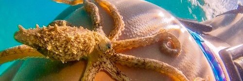 DabisonDaily's profile banner image