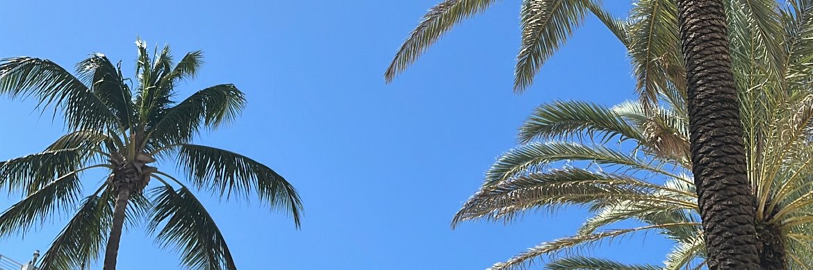 telmagst's profile banner image