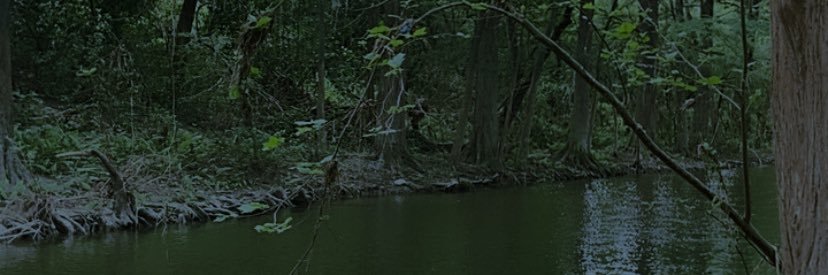 sdxnig's profile banner image