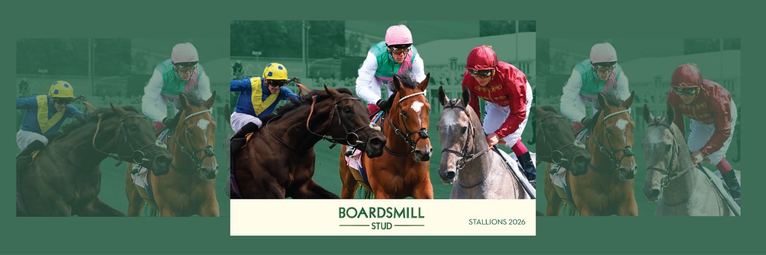 Boardsmill Stud banner