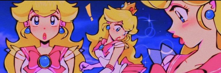 The public princess 👸💦 banner