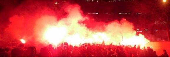 Bullterrier Madriz banner