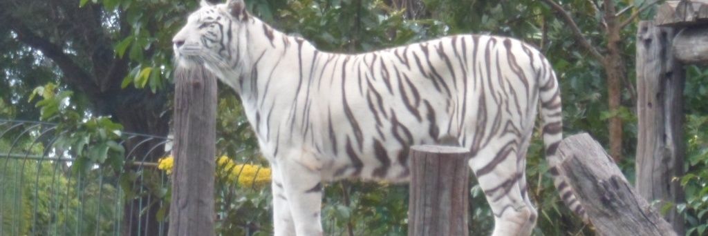 marly_mds's profile banner image
