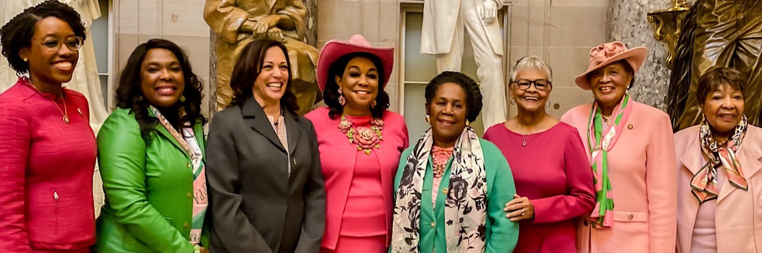 Miles Morales banner