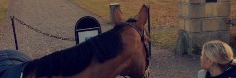 tovaottosson's profile banner image