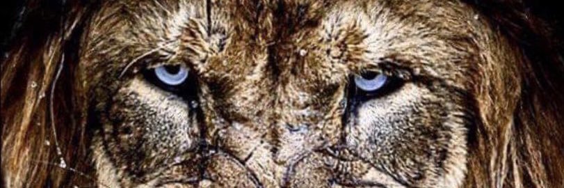 squack10's profile banner image