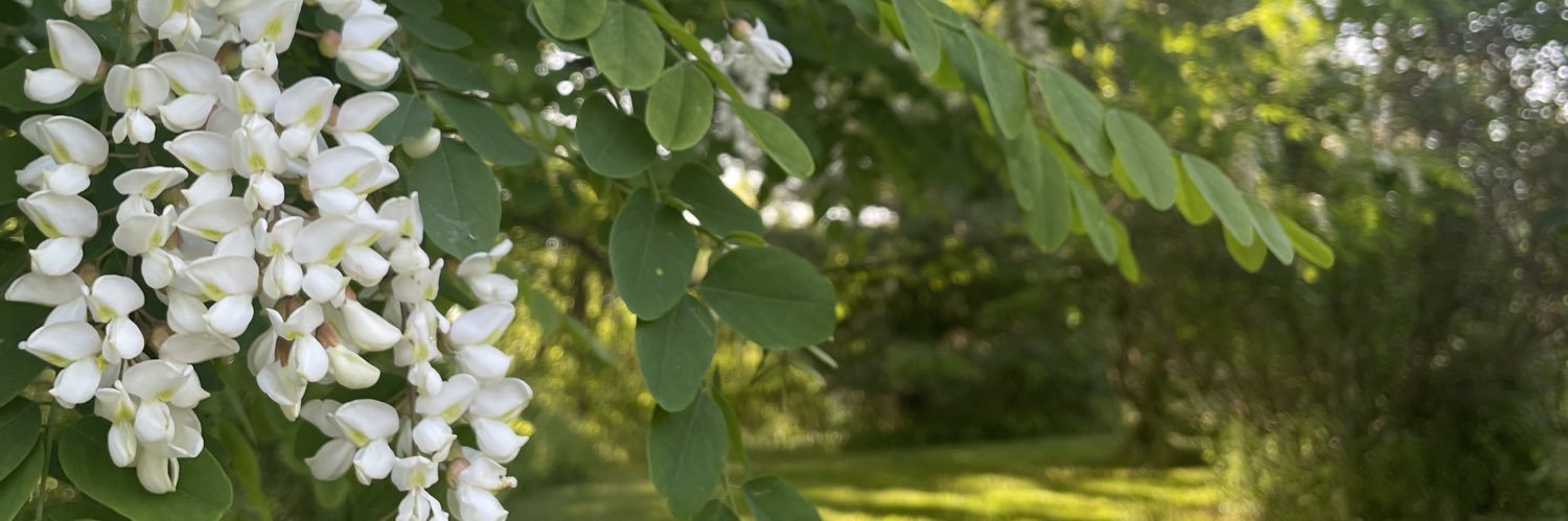 Jill_doc1's profile banner image