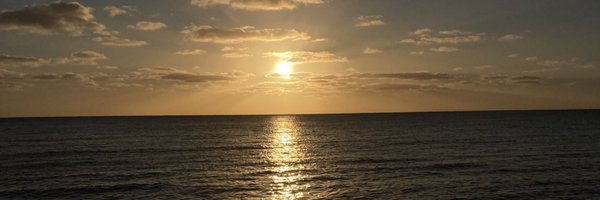 DanielaBrandon Profile Banner